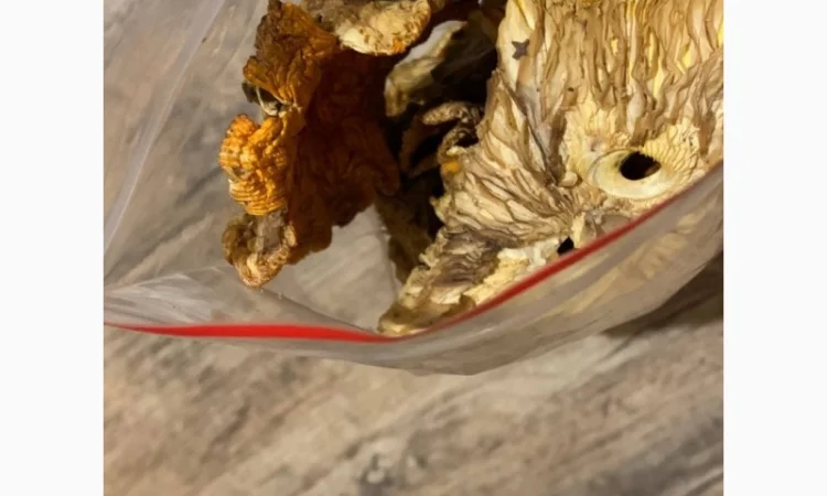 Сушені мухомори 4-го сорту на продаж - фото № 1