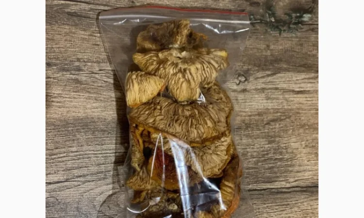 Сушені мухомори 4-го сорту на продаж - фото № 3