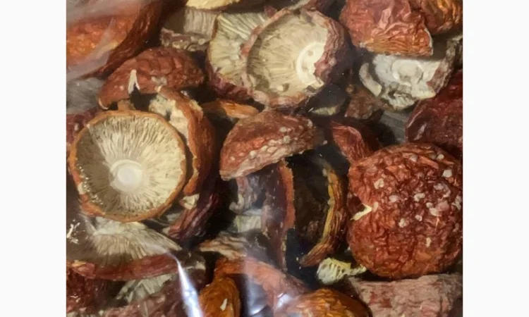 Сушеные красные мухоморы 1 сорт, продажа от 50 грамм - фото № 4