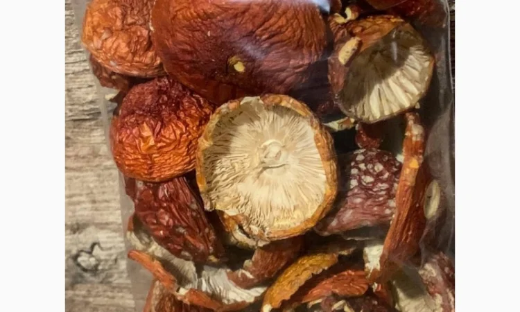 Сушений мухомор 1-й сорт, фасовка від 50 г - фото № 2