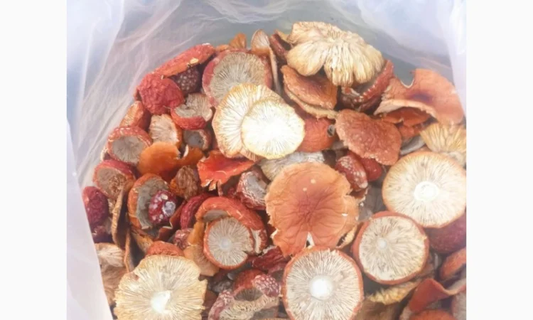 Сушені червоні мухомори, несортовані, оптом - фото № 1