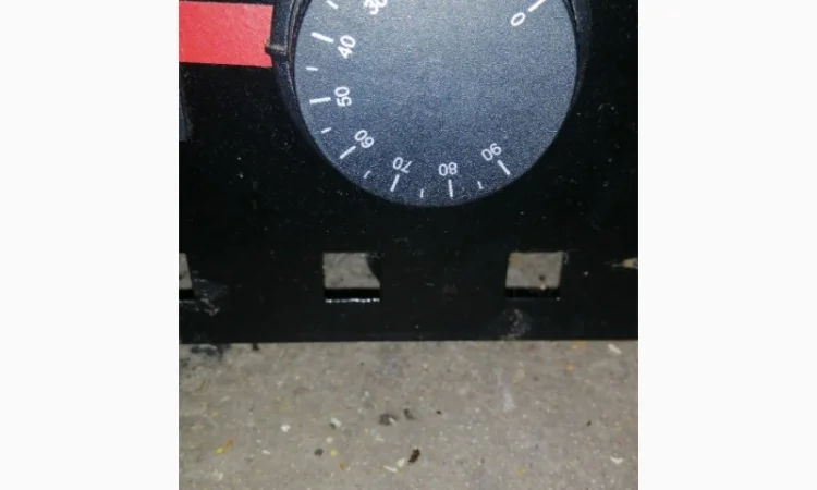 Сушені шляпки мухомора червоного (Amanita Muscaria) на продаж - фото № 5