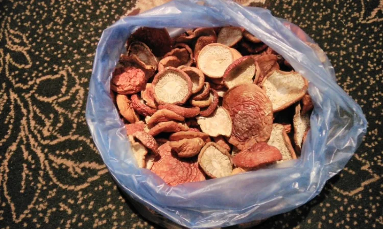 Оптом продам шляпки красного мухомора - фото № 1