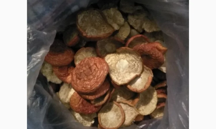 Продам шляпки красного мухомора(сухие) - фото № 2