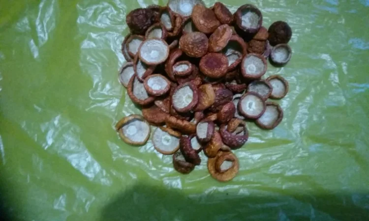 Продам шляпки красного мухомора(сухие) - фото № 3