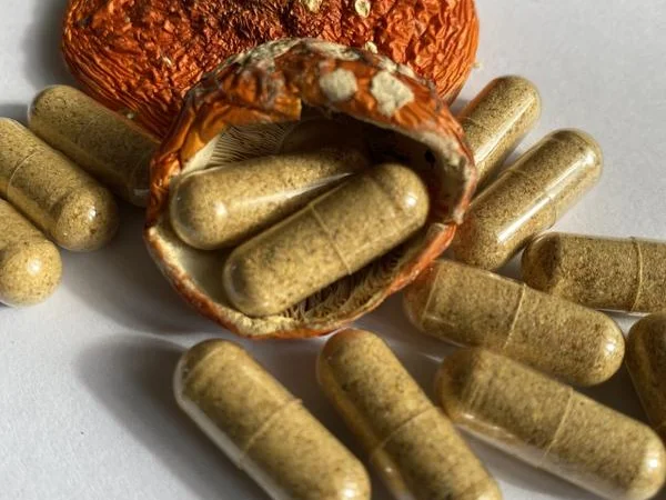 Микродозинг мухомора красного, Продам шляпки, порошок, капсулы - фото № 2