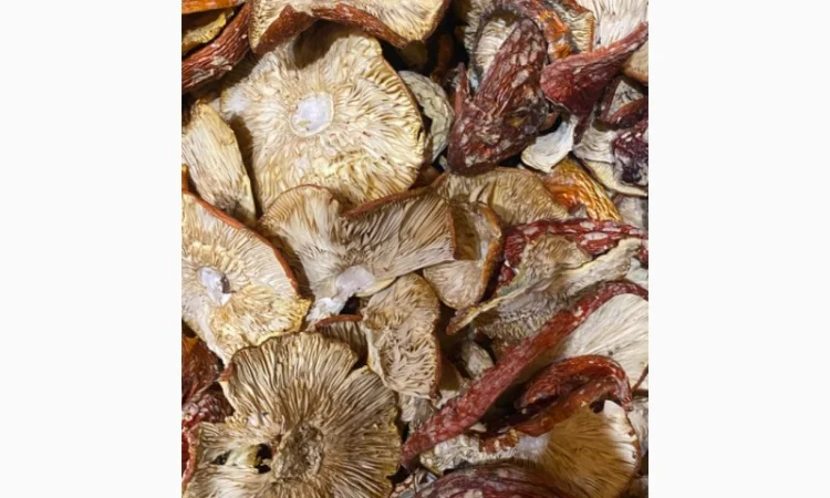 Продаю сушені гриби, мухомори - фото № 2