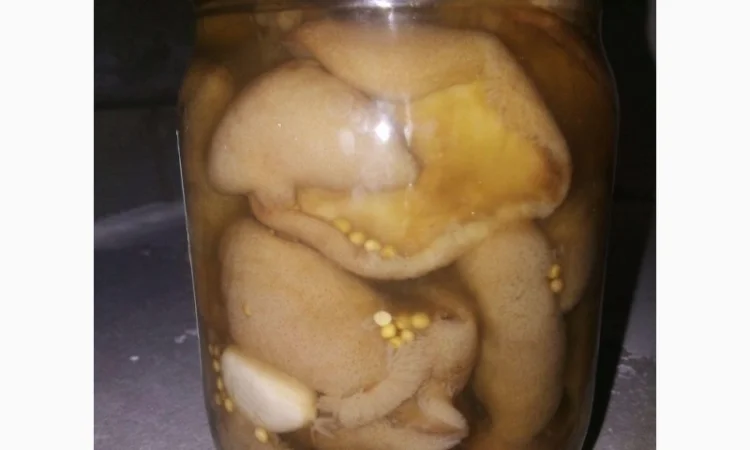 Продам грибы - фото № 3