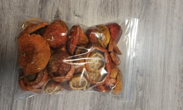 Червоні мухомори 2024 - фото № 1