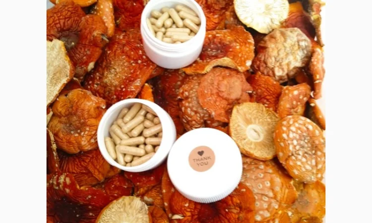 Продам сухі шляпки червоного мухомора - фото № 2