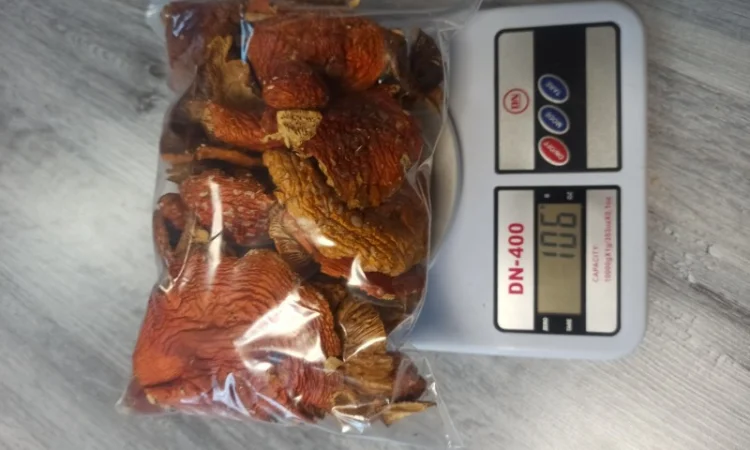 Сушені мухомори опт/роздріб - фото № 1