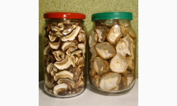 Молоді шапочки білі/белые гриби першого сорту сушені з Карпат (білий/белый гриб) - фото № 1