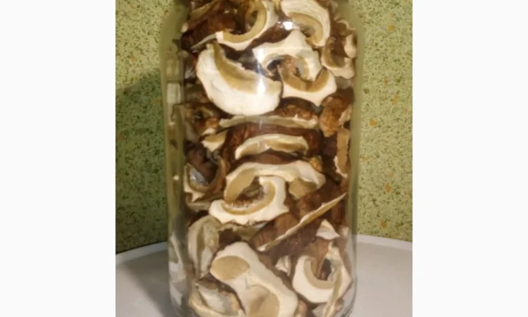 Молоді шапочки білі/белые гриби першого сорту сушені з Карпат (білий/белый гриб) - фото № 3