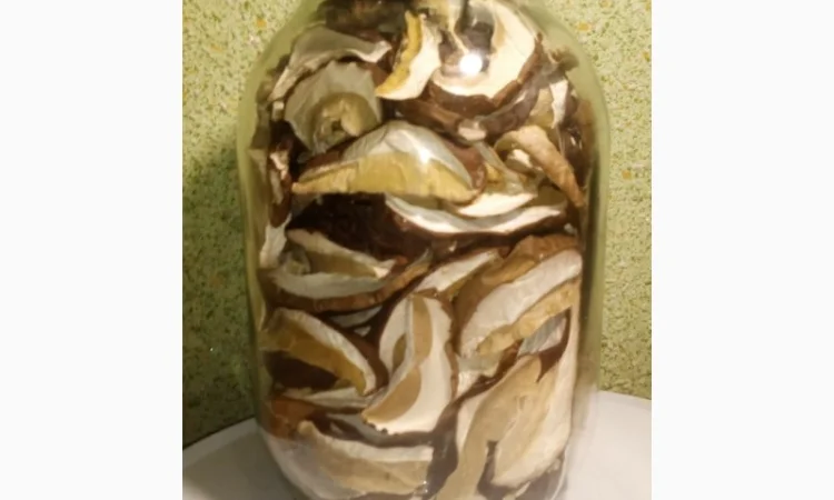 Молоді шапочки білі/белые гриби першого сорту сушені з Карпат (білий/белый гриб) - фото № 4