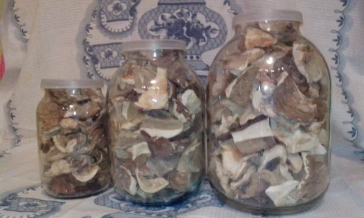 Гриби білі сушені – Карпати, відсортовані, перебрані. Доставка по Києву - безплатно - фото № 2