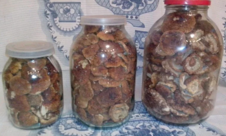 Продаж білих грибів, урожай 2024 року - фото № 1