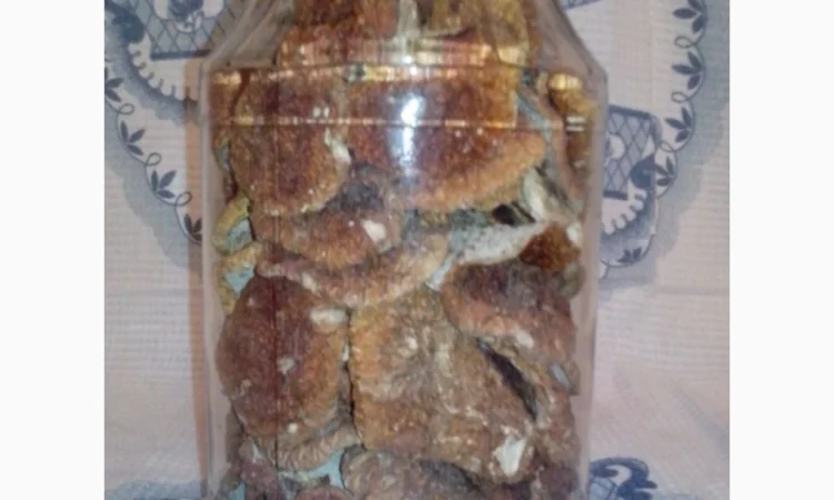 Продаж білих грибів, урожай 2024 року - фото № 3