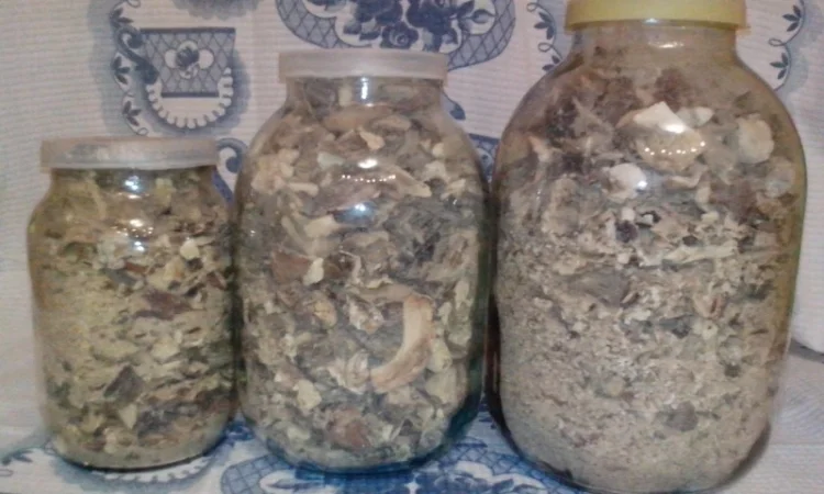 Гриби білі сушені з Карпат - фото № 1