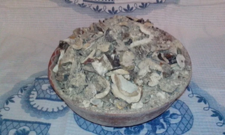 Гриби білі сушені з Карпат - фото № 2