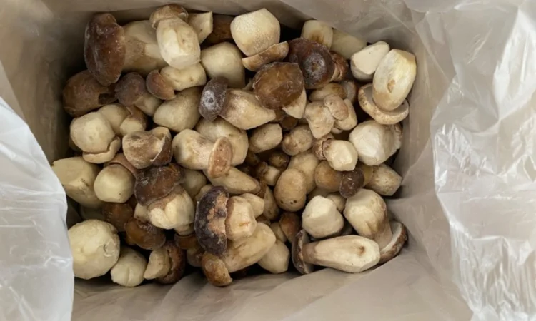 Продажа белых замороженных грибов первого сорта - фото № 2