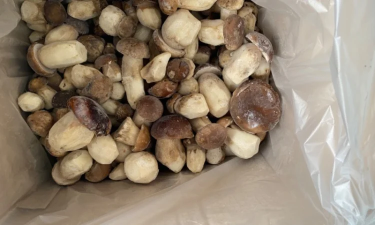 Гриби білі заморожені перший сорт осінь 2024р Закарпаття - фото № 3