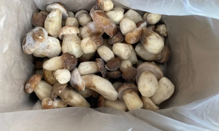 Гриби білі заморожені перший сорт осінь 2024р Закарпаття - фото № 5