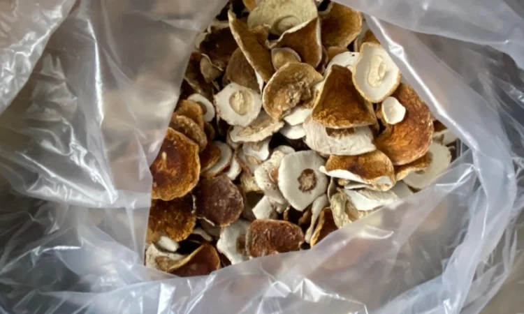 Сушена шапочка білого гриба! 2800грн - фото № 2