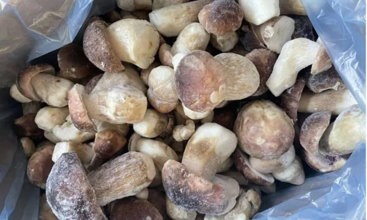 Купуємо заморожені білі гриби - фото № 1