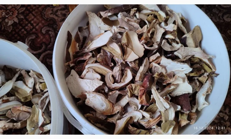 Сушені білі гриби першого сорту - фото № 1