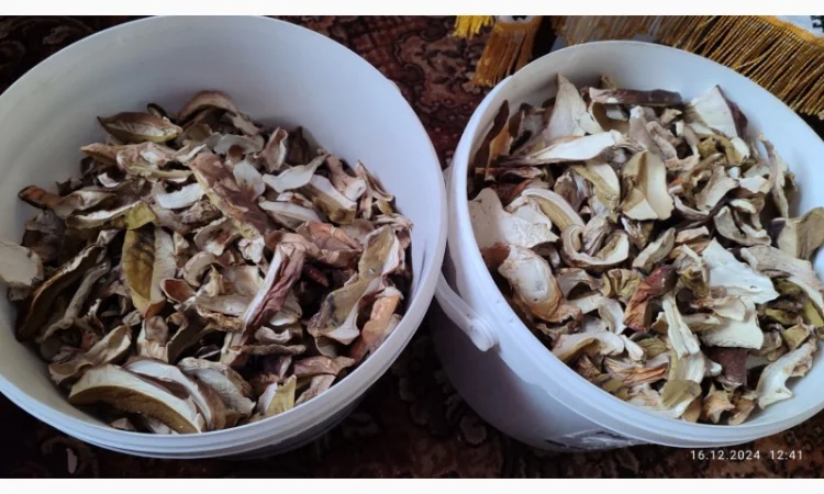 Сушені білі гриби першого сорту - фото № 2