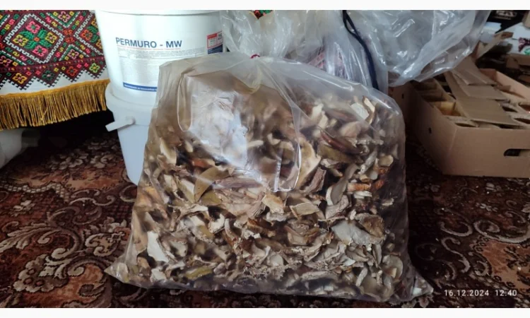 Сушені білі гриби першого сорту - фото № 3