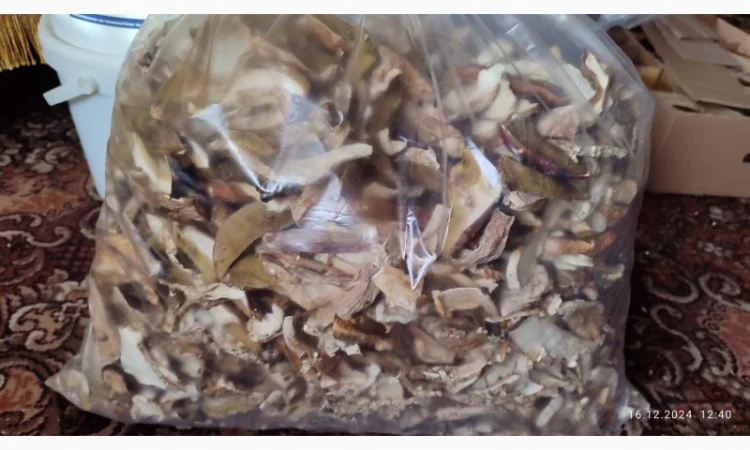 Сушені білі гриби першого сорту - фото № 4