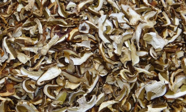 Сушені Білі гриби 100 г - фото № 1