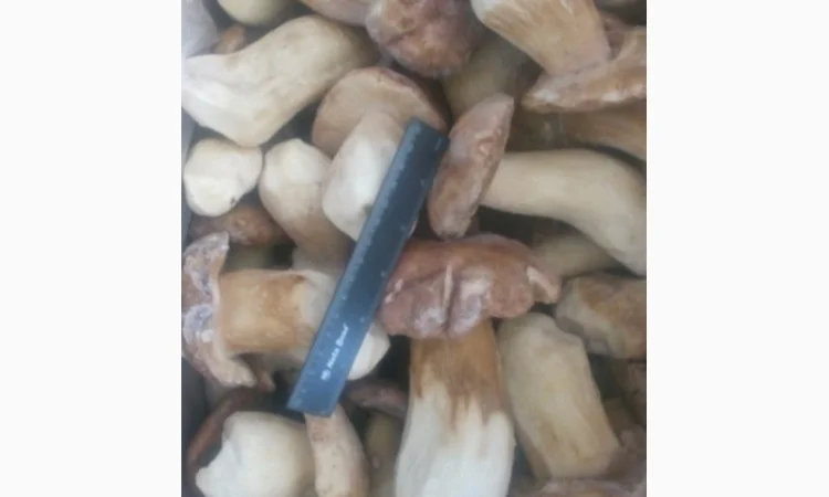 Гриби білі цілі 1 ґатунок заморожені - фото № 1