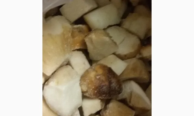 Гриб білий кубик на продажу - фото № 1