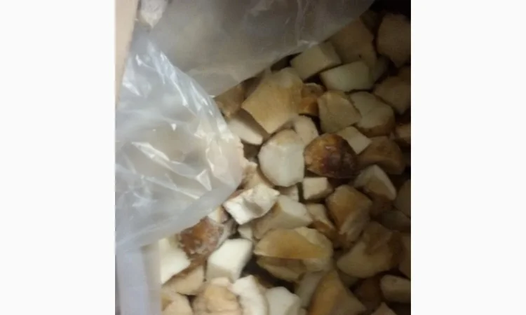 Гриб білий кубик на продажу - фото № 2