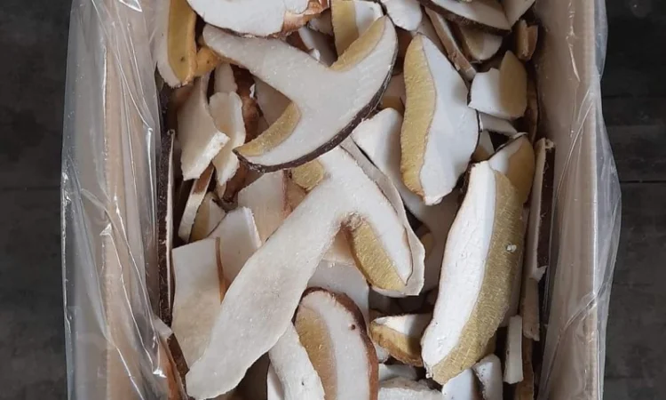 Куплю білі гриби, лисички - фото № 1