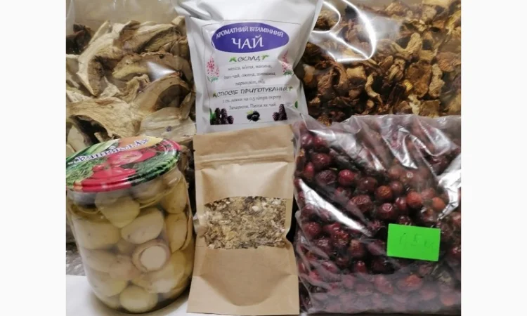 Сушені білі гриби та лисички на продаж - фото № 2