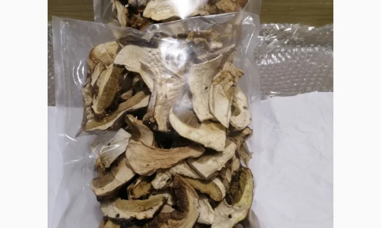 Сушені білі гриби та лисички на продаж - фото № 3