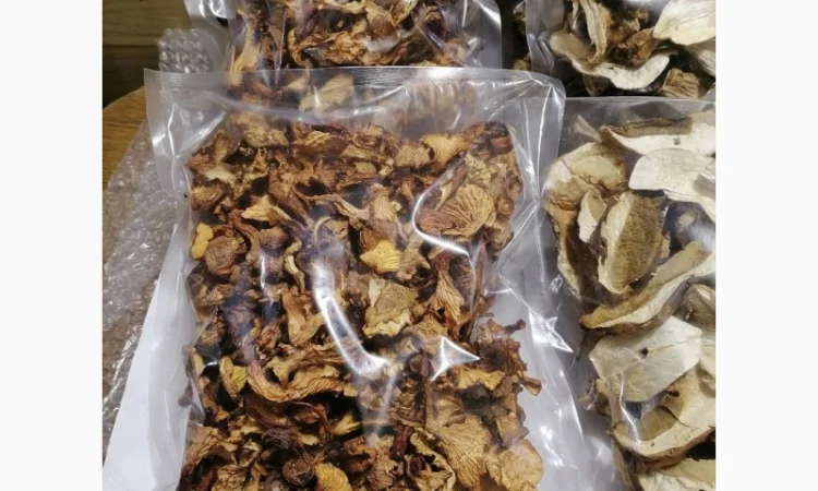 Сушені білі гриби та лисички на продаж - фото № 4