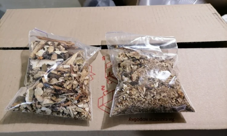 Сушені білі гриби та лисички на продаж - фото № 5