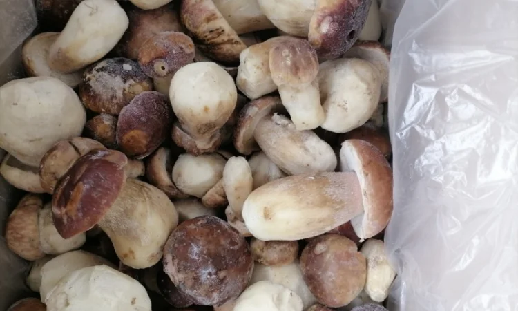 Продаю морожені білі гриби - фото № 3