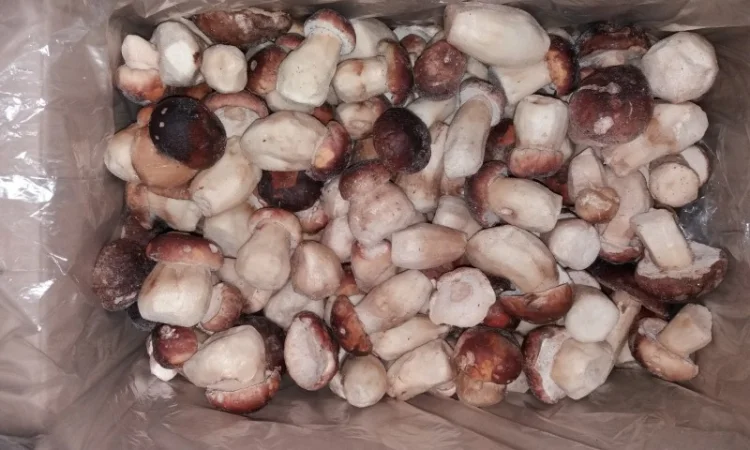 Продажа белых грибов свежих и замороженных - фото № 2