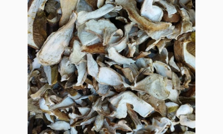 Сушеные белые грибы 1 сорт из Закарпатья - фото № 1