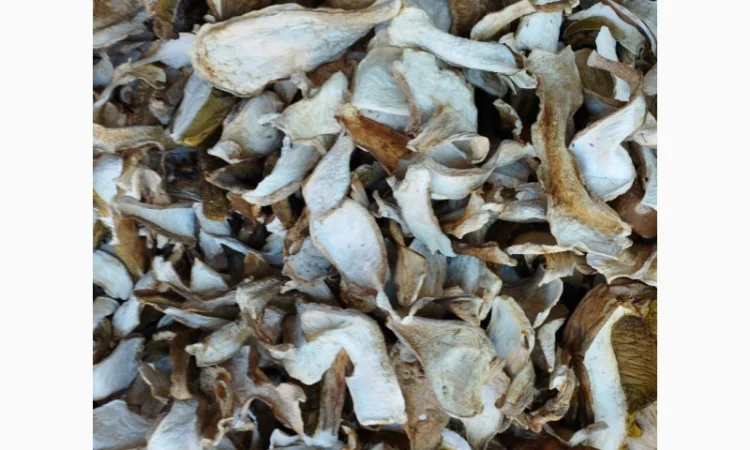 Сушені білі гриби із Закарпаття 2022 білі 1 сорт ціни вказані за 1 кг - фото № 1