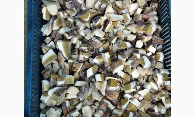 Кубик білого гриба - фото № 2