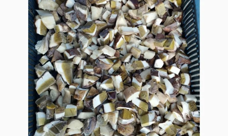 Кубик білого гриба - фото № 3