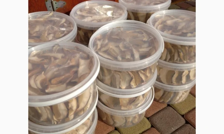 Білий гриб відерця 3 літри - фото № 1