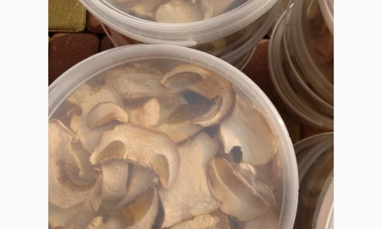 Білий гриб відерця 3 літри - фото № 2