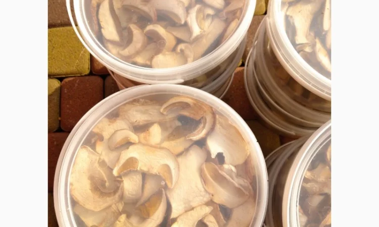 Білий гриб відерця 3 літри - фото № 3